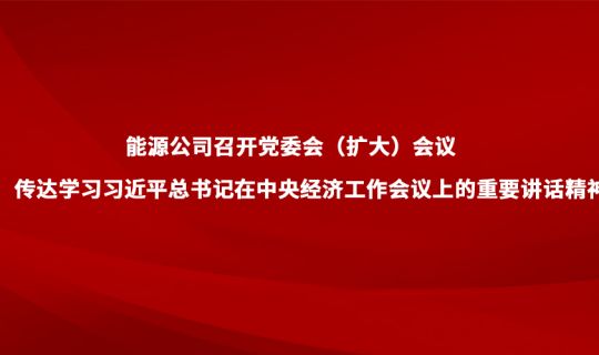 能源公司召开党委会（扩大）会议 传达学习习近平总书记在中央经济工作会议上的重要讲话精神