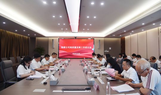 能源公司召开高质量发展工作研讨会