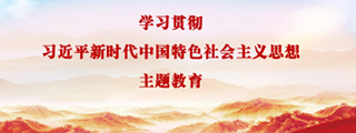 学习贯彻习近平新时代中国特色社会主义思想主题教育